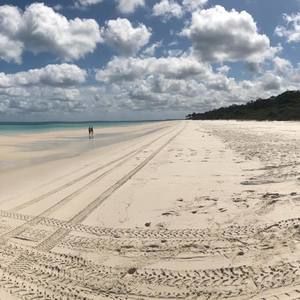 Meet your Posher, Lynn